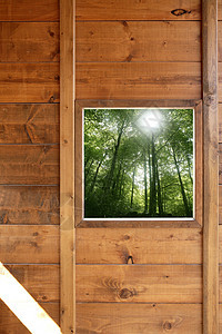 木林窗口丛林绿森林视图房子住宅展示乡村框架金子控制板玻璃橡木窗格图片