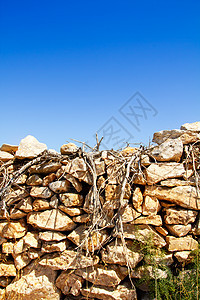 地中海干干枝和泥石墙装饰天空衬套分支机构植物栅栏岛屿岩石天堂材料图片