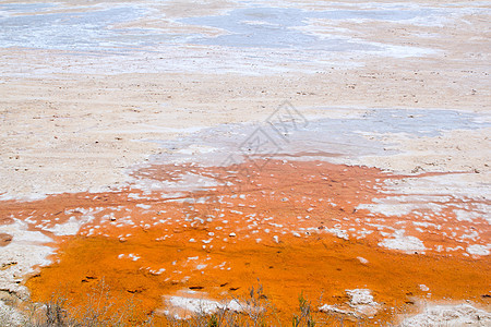 橙色和白色纹理中的干盐制品图片