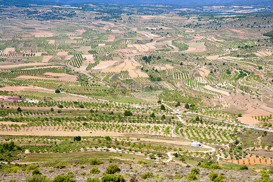 西班牙巴伦西亚的山谷国家土地树木绿色爬坡旅游水平农村场景高地图片