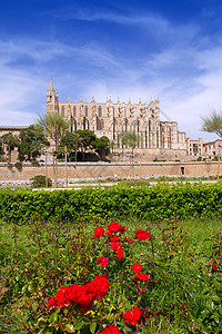 红花花园中的大教堂和Almudaina建筑古董游客纪念碑吸引力教会蓝色建筑学假期历史图片