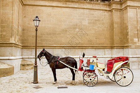 在帕尔马大教堂与马一起乘马旅游路面教会石头轮子街道运输哺乳动物旅行大车图片