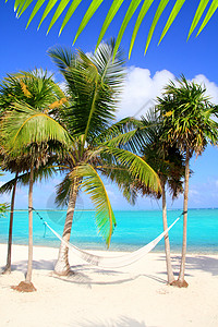 加勒比海 有回旋吊床绿绿石海滩支撑树木海浪海景天空太阳旅行海岸热带晴天图片