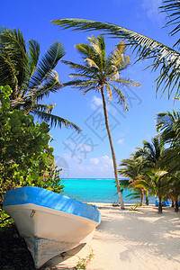 加勒比热带海滩 船海滨图片