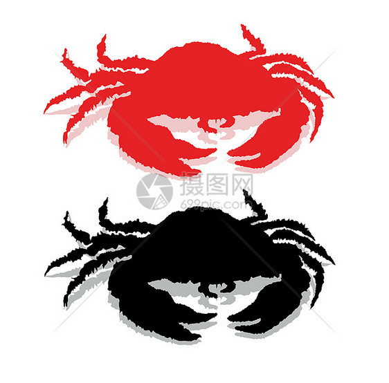 螃蟹环影白色动物海洋吉祥物海鲜红色癌症野生动物黑色贝类图片