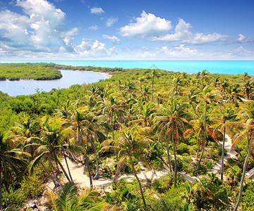 孔托伊热带加勒比岛屿 墨西哥海岛海岸假期公园棕榈野生动物异国旅行海滩海洋天空图片