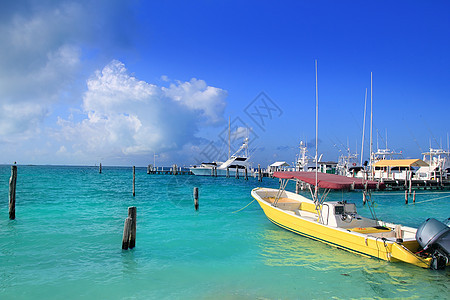 女人岛墨西哥小船绿松石加勒比海情调蓝色旅游棕榈海岸线港口海洋码头树木海滩图片