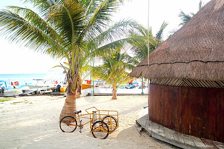 坎昆墨西哥的热带木林小屋情调通体自行车棕榈蓝色树木天窗地标旅行海岸图片