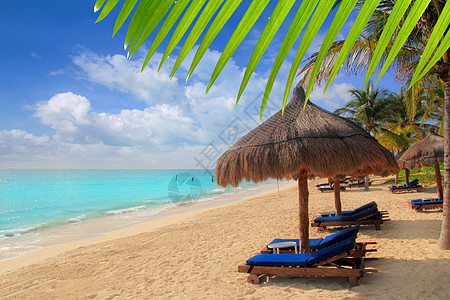 加勒比日落的美亚里维埃拉海滩棕榈树天窗海岸棕榈天堂太阳树木支撑地标海洋蓝色图片