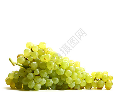 孤立葡萄水果绿色杂货店白色生长收成栽培藤蔓生产葡萄背景图片