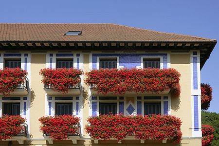 纳瓦拉美丽的房子 阳台上有鲜花村庄国家花朵建筑住宅植物乡村窗户农村石头图片