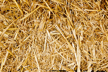 bale 金色草根质料 动物食品食物植物正方形小麦农场国家干草收成场地农村图片