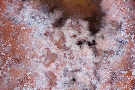福门特拉岛盐场盐质地粮食传统食物土地商业盐水文化地形场景海洋图片