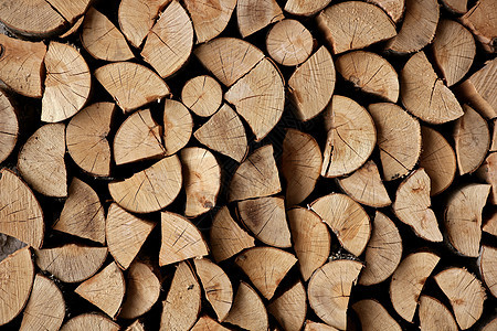 以砍木柴堆木木为模式日志壁炉森林环境库存木头活力戒指木材圆圈图片