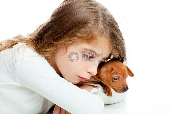 带着小皮猪宠物吉祥物狗的黑褐色女孩棕褐色女性蓝色童年微笑犬类工作室钳子哺乳动物别针图片