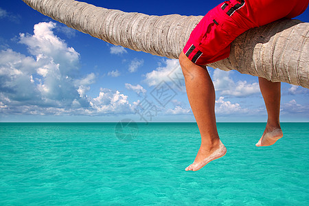 加勒比棕榈树偏斜海滨旅游腿棕榈地平线异国热带男人支撑树干波纹海滩天空图片