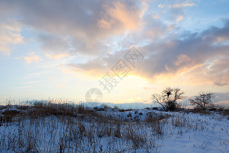 冬天日出天空太阳天气木头森林日落季节旅行阳光图片