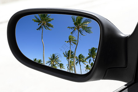 后视汽车驾驶镜热带棕榈树图片