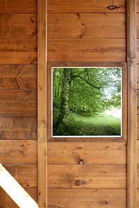 木林窗口丛林绿森林视图窗户正方形窗格金子橡木控制板建筑学住宅框架艺术图片