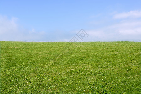 绿草草地平面和蓝天空地平线国家风景蓝色季节场地天空土地晴天美丽图片