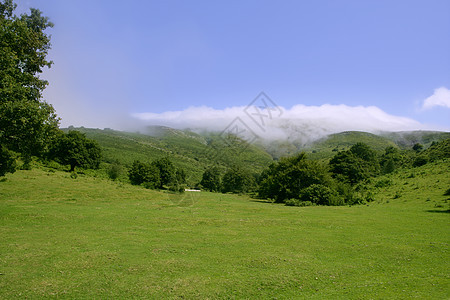 绿草草地平面和蓝天空公园天空地平线农场植物牧场风景场景美丽季节图片