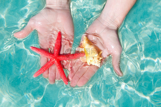 热带水中的手头海星和贝壳支撑反射宏观热带阴影阳光海滩情调海岸橙子图片