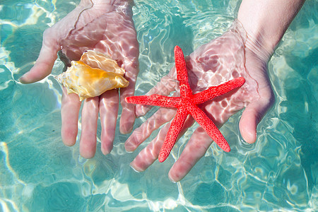 热带水中的手头海星和贝壳情调女性海浪异国宏观支撑蓝色天堂海滩反射图片