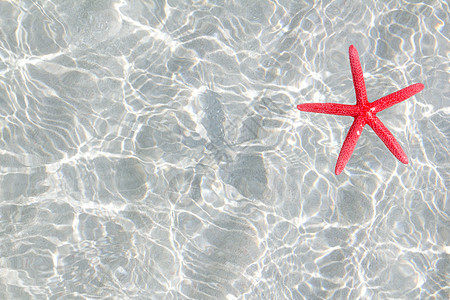 白沙滩上漂浮的红海星波纹海星海岸反射阳光热带异国阴影星星橙子图片
