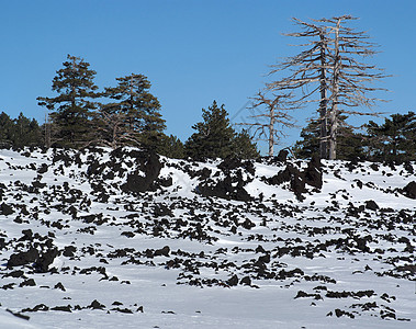 西西里 埃特纳火山上冬季积雪覆盖的拉瓦地蓝色高度天空森林巨石岩石顶峰石头树木场地背景