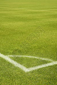 足球绿草草地角白线场地植物运动土地竞赛体育场草皮团队角落公园图片