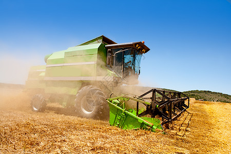 收获小麦谷类的合并收割者收割机工作国家收成农学晴天驾驶农场拖拉机机器图片