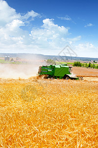 收获小麦谷类的合并收割者公园山脉小麦场地农场柴油机天空蓝色晴天工作图片