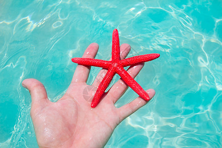 人类手中的红海星漂浮反射海浪情调阳光橙子支撑异国蓝色阴影海星图片