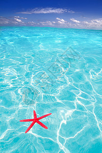 海星作为热带海滩的夏季象征物星星宏观天空蓝色情调天堂异国支撑海星阴影图片