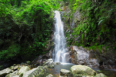 瀑布场景树木钓鱼游泳旅游叶子旅行池塘公园岩石图片