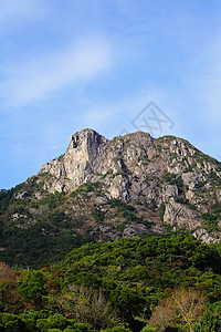 狮子石 香港精神的象征蓝色天空城市市中心白色晴天绿色岩石狮子爬坡图片