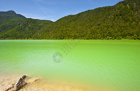 萨拉谢湖芦苇石头峡谷涟漪岩石风景沉思海岸支撑海滩图片