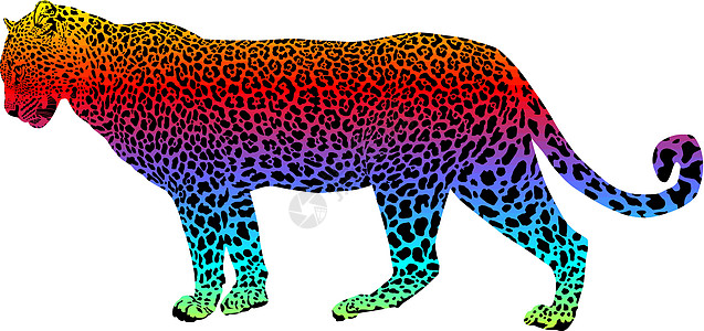 豹式 - 矢量抽象彩虹图片