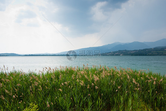 湖面视图天空衬套绿色植被地标场景蓝色多云公园植物图片
