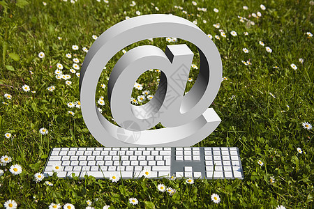 网路在花园里搬迁电子邮件植物按钮电子产品植物群雏菊钥匙电子商务电脑图片