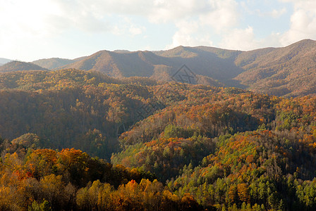 Asheville 北卡罗来纳山数控树木天空丘陵森林图片