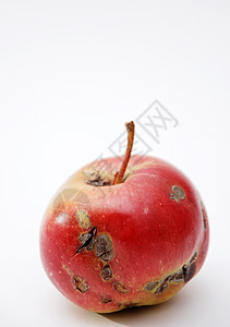 苹果食物腐烂黄色红色白色水果图片
