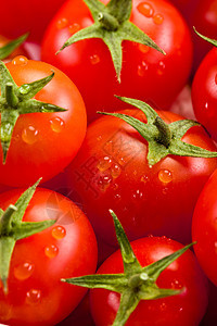 番茄背景香菜白色西红柿有机食品沙拉宏观红色活力蔬菜食物图片