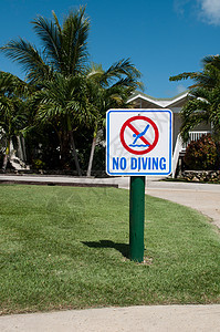 没有潜水标志红色圆圈假期运动水池游泳招牌白色指示牌棕榈图片