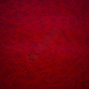 背景红色皮革纹理Name皮肤材料棕褐色宏观奢华织物奶牛鳄鱼衣服座位图片