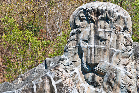 狮子石雕像花园城堡男性数字守护动物领导火鸡吸引力游客图片