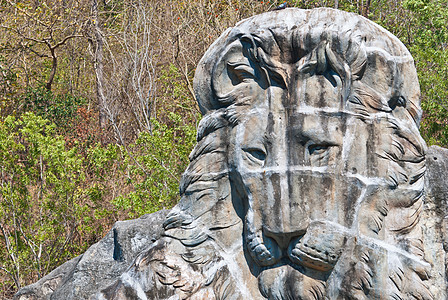 狮子石雕像数字吸引力花园石头领导者动物城市领导守护遗产图片