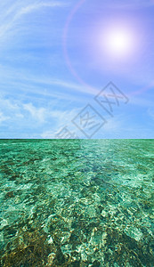 珊瑚角旅行潜水全景天堂波纹植物浮潜蓝色破坏假期图片
