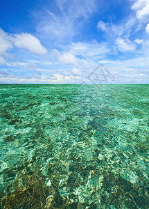 泰国在安达曼海的珊瑚外逃图片