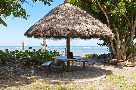 厄瓜多尔海湾中废弃的海滩小屋海岸沙漠旅游假期植被椰子女士丛林旅行背景